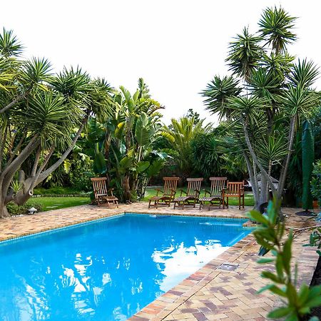 Secret Garden Guesthouse Bloubergstrand Dış mekan fotoğraf