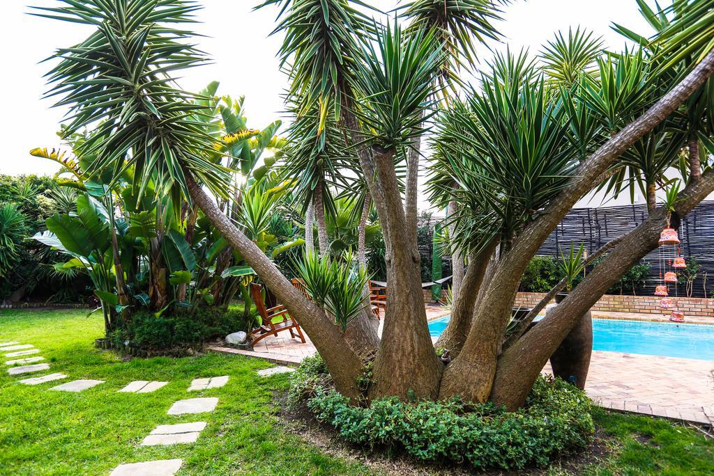 Secret Garden Guesthouse Bloubergstrand Dış mekan fotoğraf