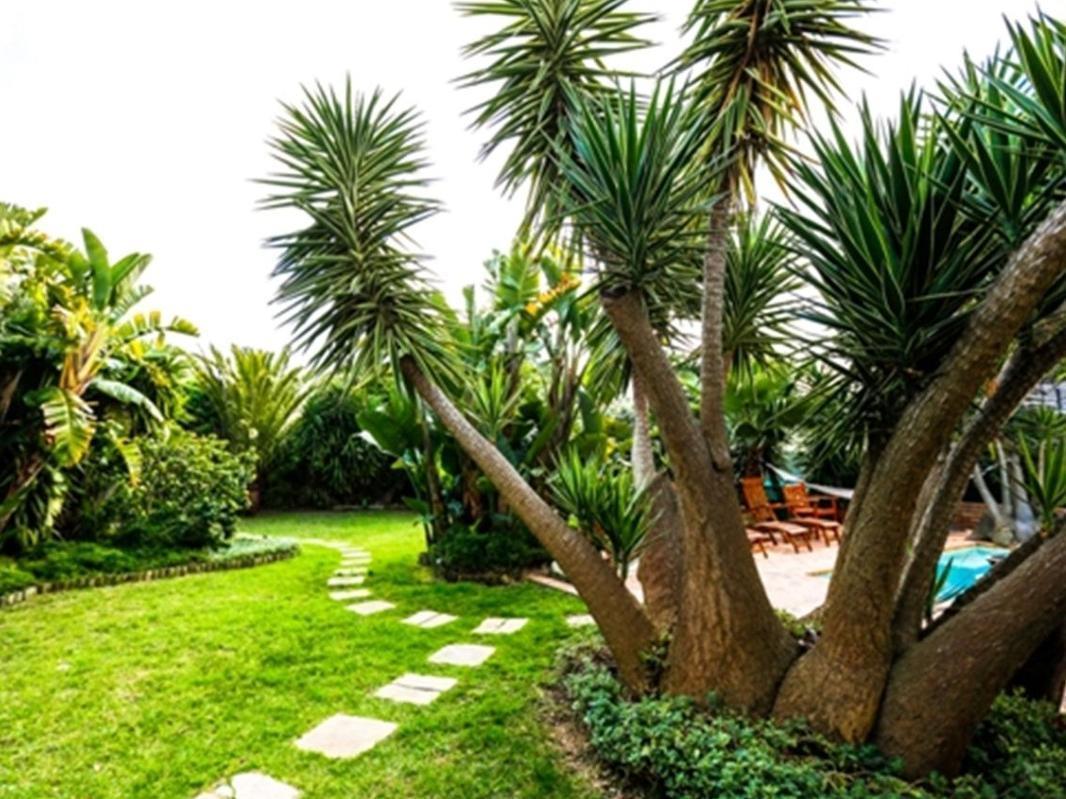 Secret Garden Guesthouse Bloubergstrand Dış mekan fotoğraf