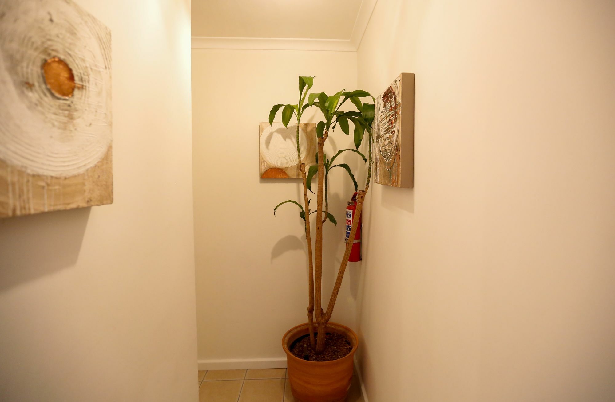 Secret Garden Guesthouse Bloubergstrand Dış mekan fotoğraf