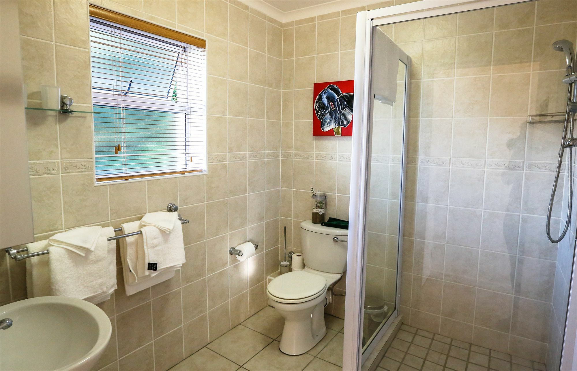 Secret Garden Guesthouse Bloubergstrand Dış mekan fotoğraf